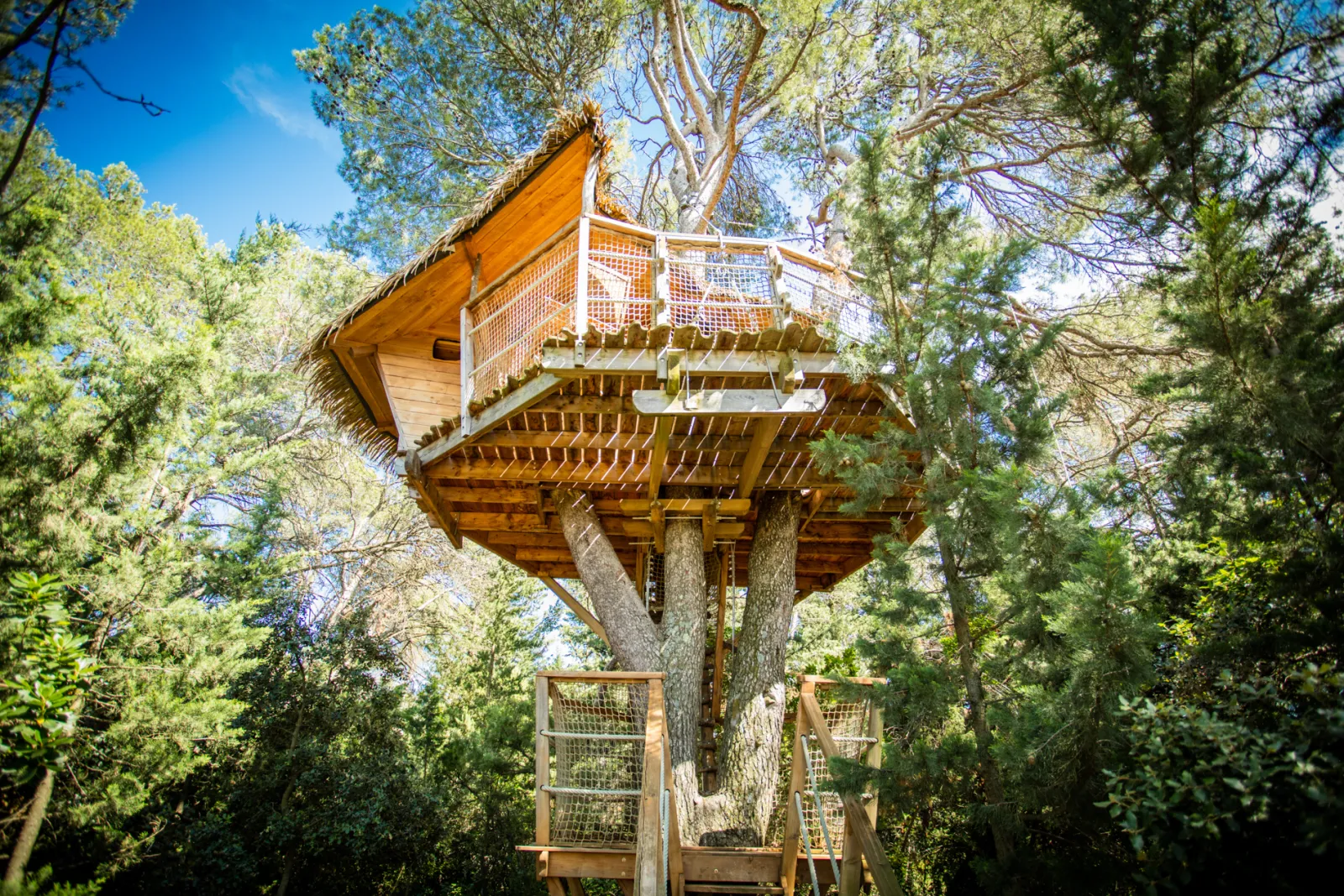 Cabane Tourterelle à Castries, photo 2