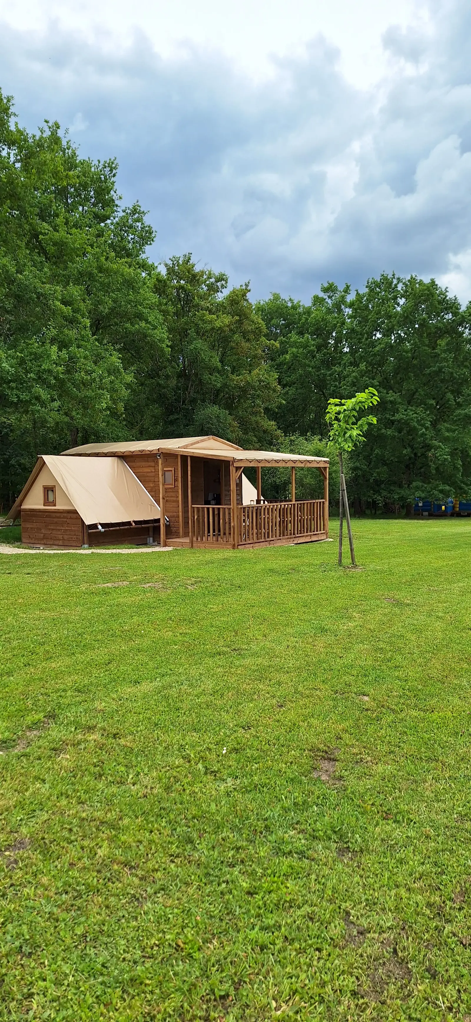 Cabane tribu Bouton d'Or, cabane au sol à Cour-Cheverny
