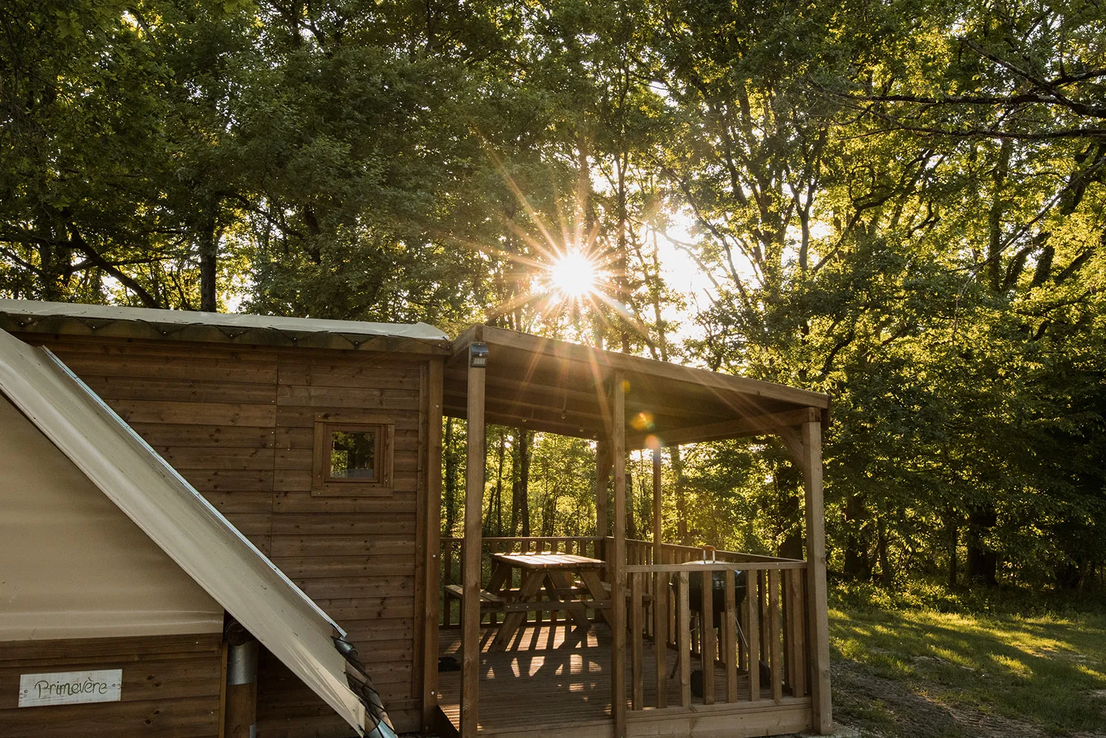 Cabane tribu Primevère à Cour-Cheverny, photo 2