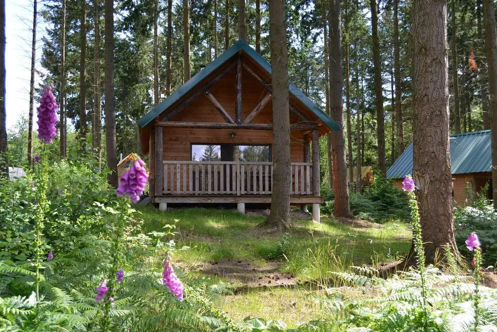 Cabane Versailles, cabane au sol à Versailles
