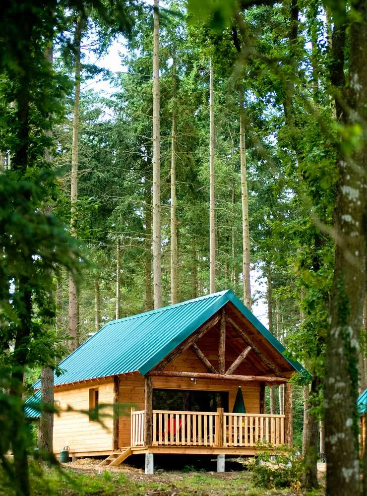 Cabane Versailles à Versailles, photo 2
