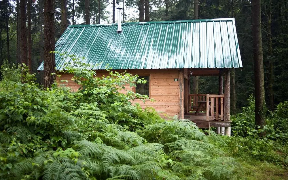 Cabane Versailles à Versailles, photo 5