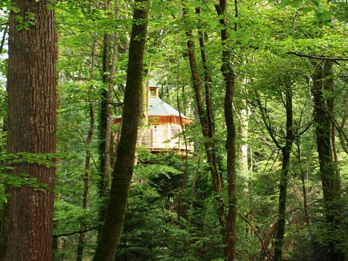 Cabane Vigie, cabane dans les arbres à Cléder