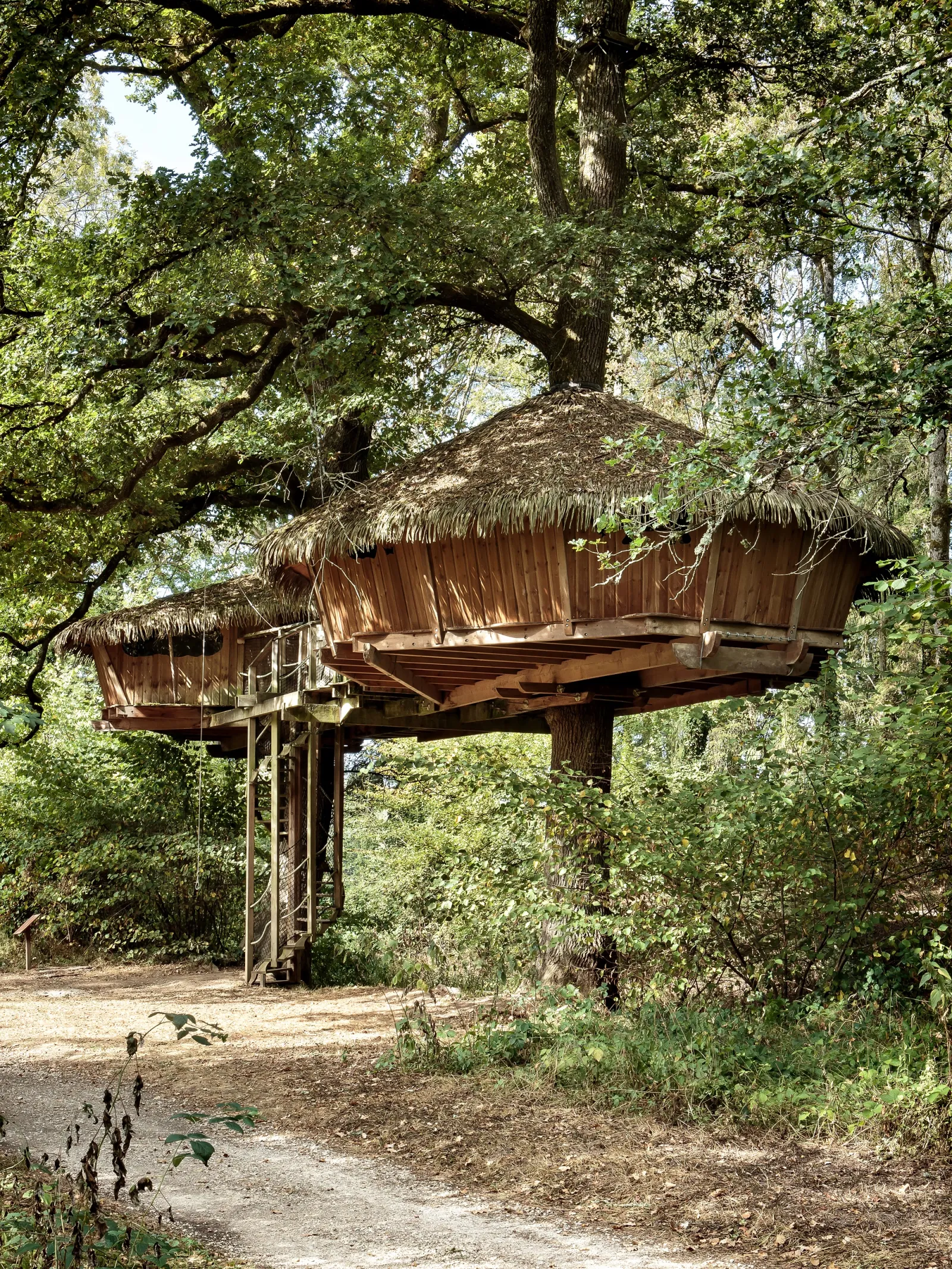 Cabane Voilure, cabane dans les arbres à Chassey-lès-Montbozon