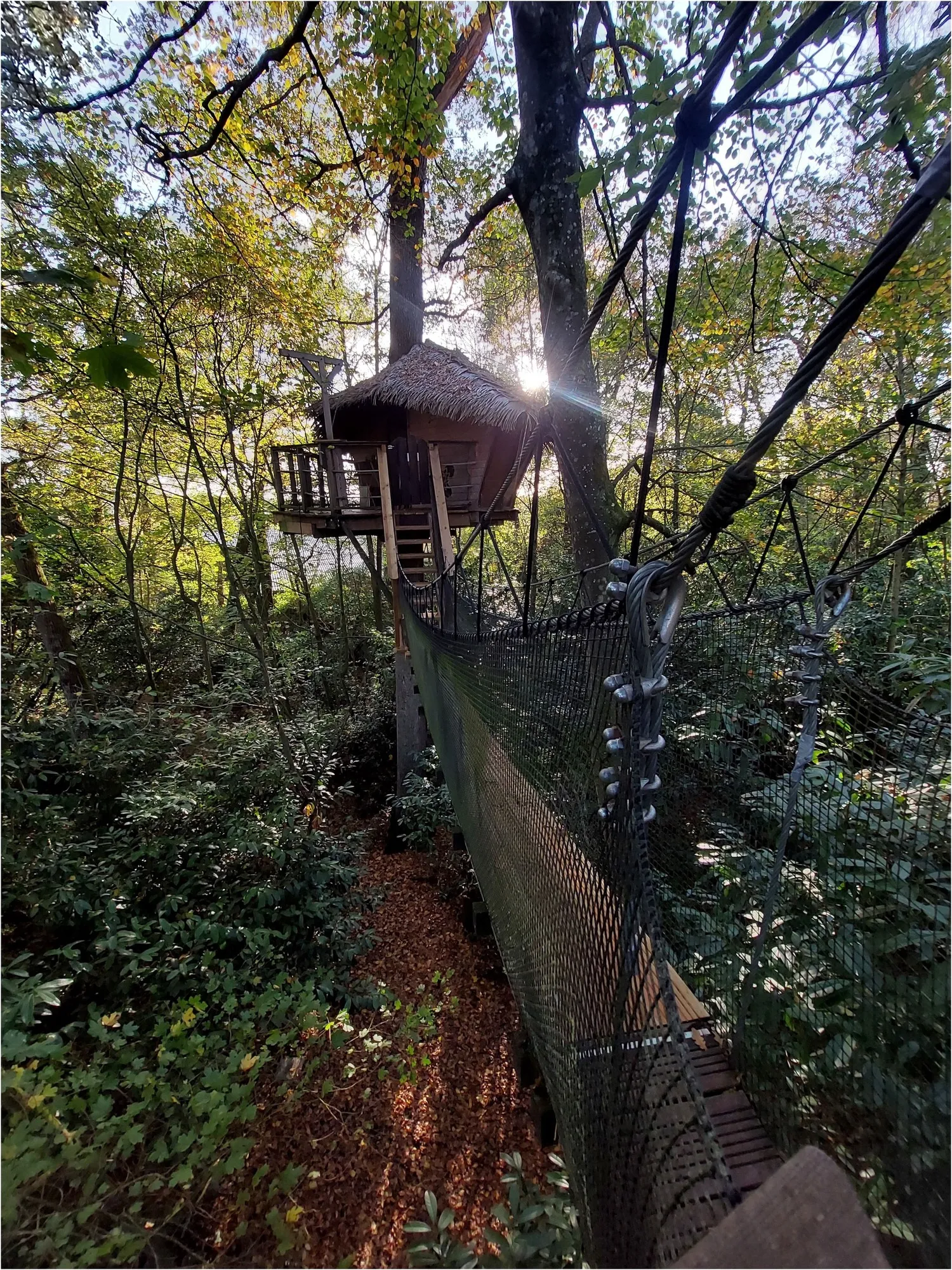 Cabane Zen à Pons, photo 5