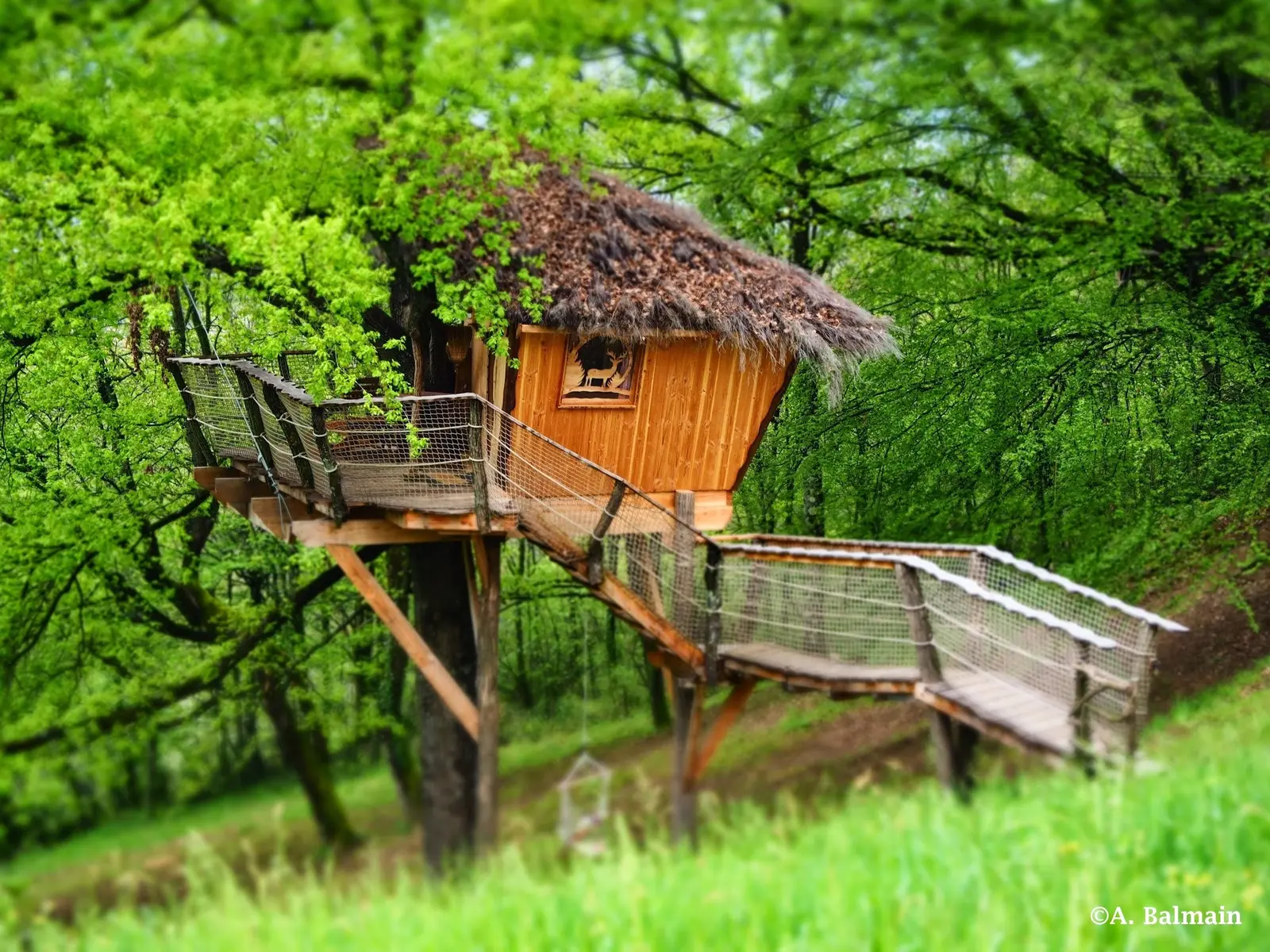 Cabanes de Carpat, cabane dans les arbres à Saint-Jean-en-Royans