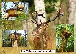 Cabanes de Chanteclair, cabane dans les arbres à Chalais