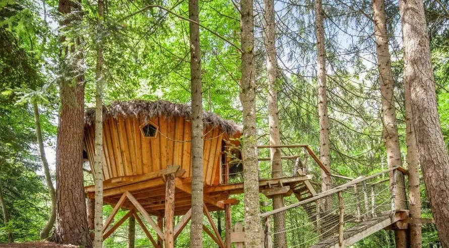 Cabanes de la vallée de l'Ance, cabane dans les arbres à Sauvessanges