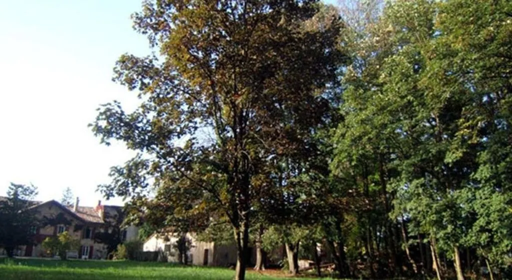 Les Cabanes de Viré à Saint-Albain, photo 4