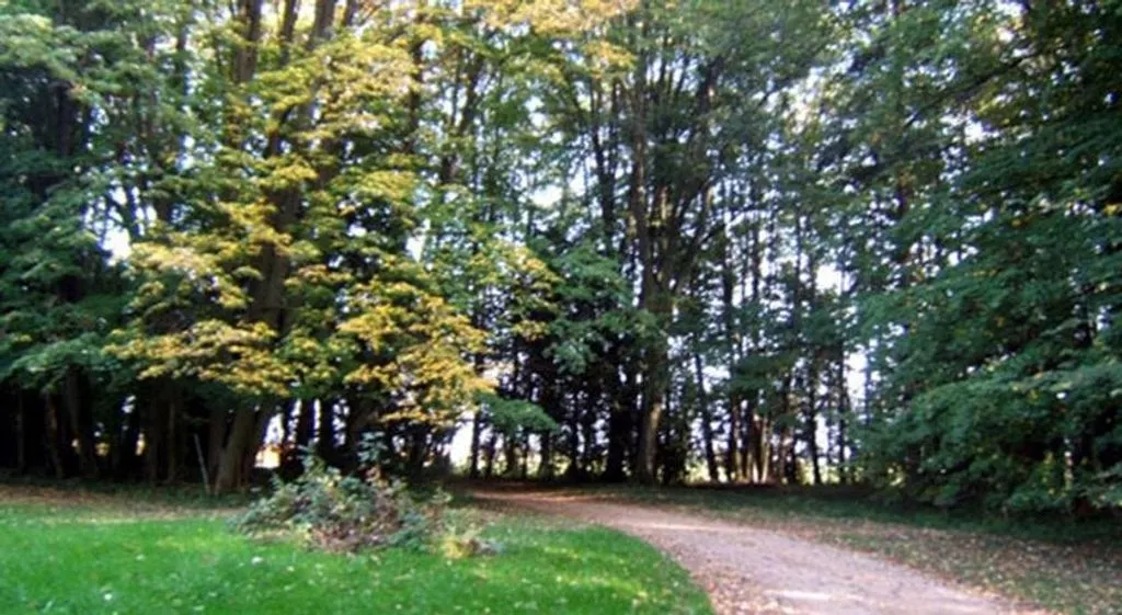 Les Cabanes de Viré à Saint-Albain, photo 5