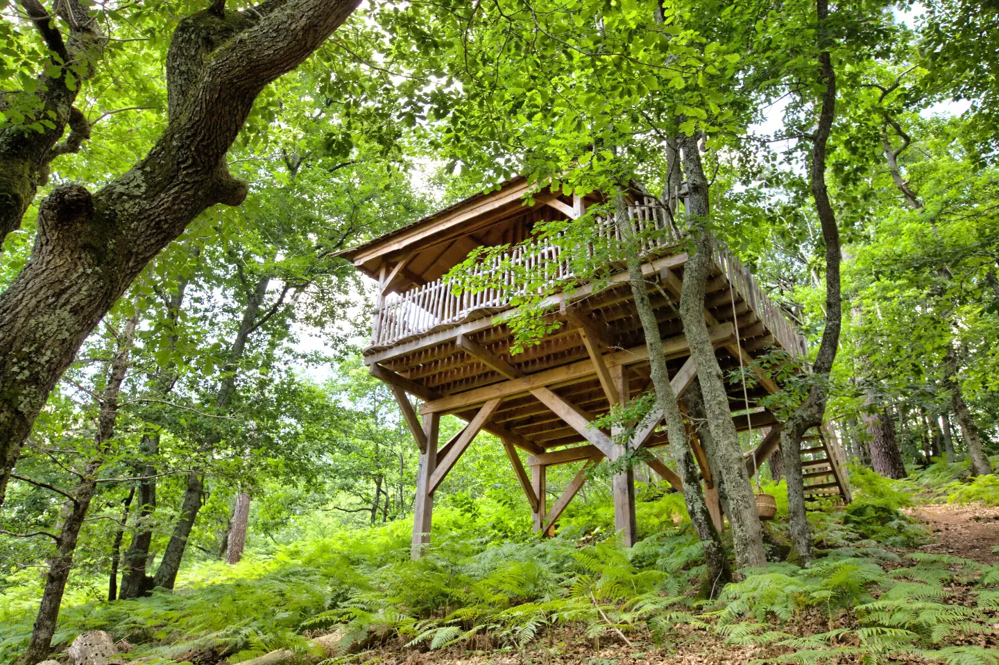 Cabanes des Benauges, cabane dans les arbres à Porte-de-Benauge