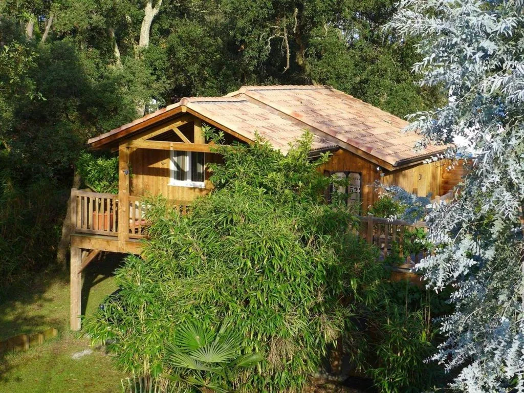 Chalet perché à Labenne, photo 5