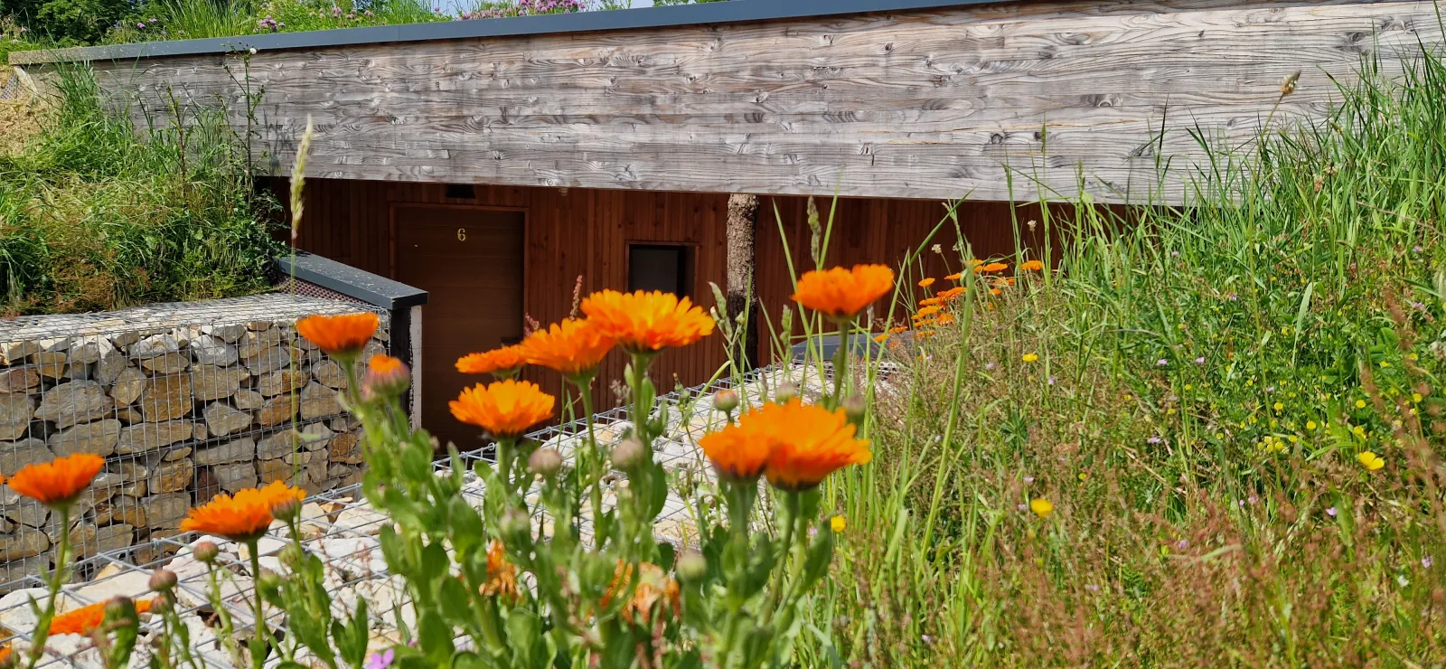 Ecolodge Supérieur à Yvré-l'Évêque, photo 3
