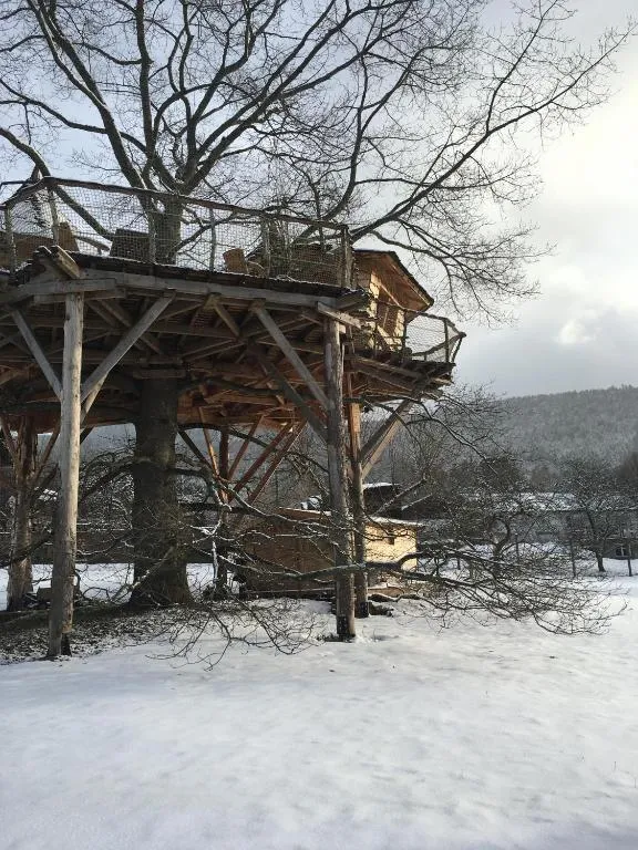 Gaïa Cabanes du Chêne Rouvre à Saint-Dié-des-Vosges, photo 5