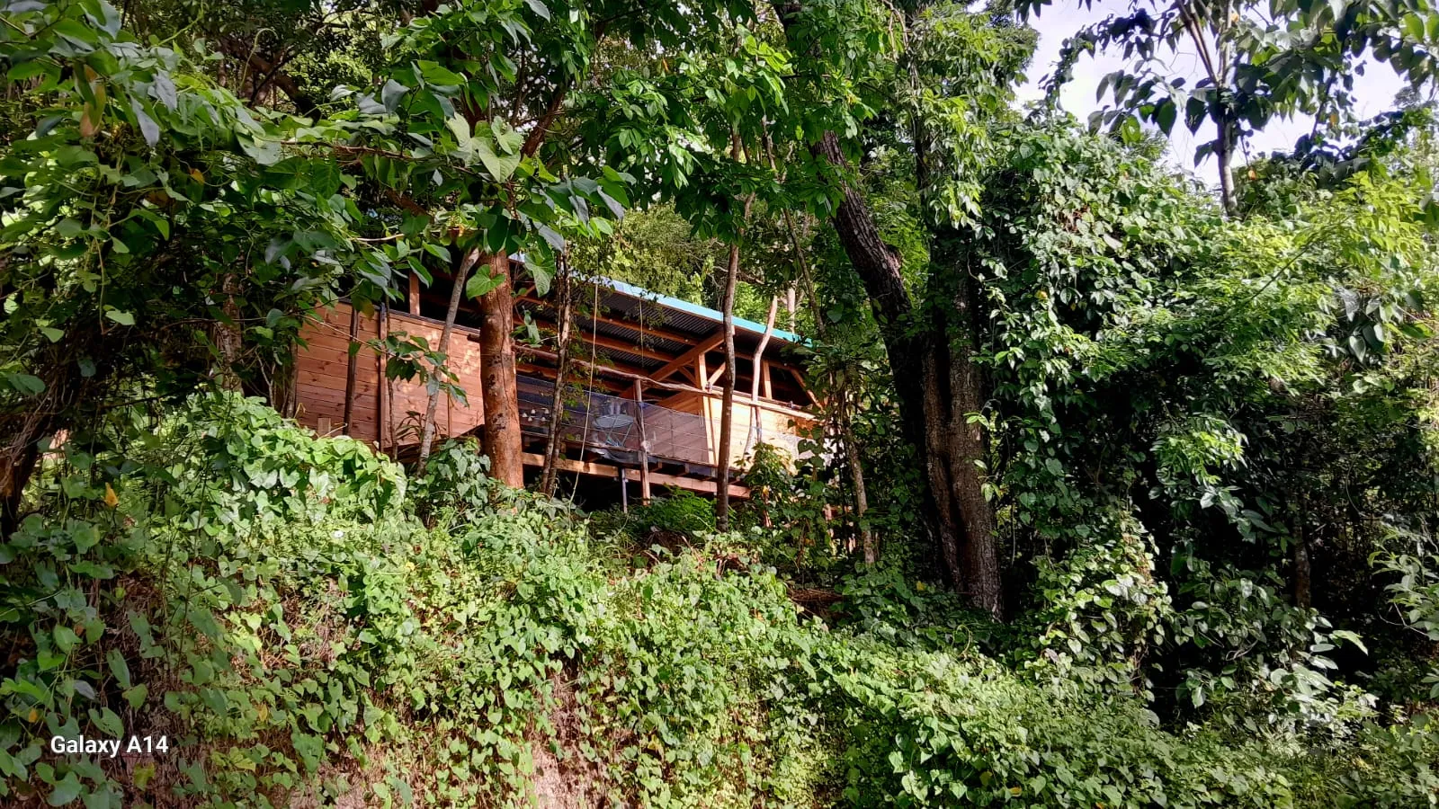 Gran Kabane à Deshaies, photo 2