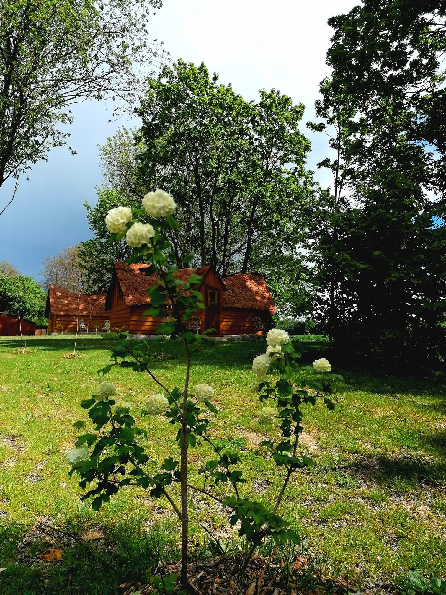 Grande Cabane de la Gare à Esclavolles-Lurey, photo 4