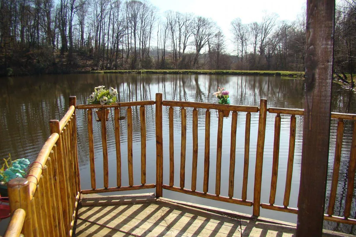 La Cabane au bord de l'eau à La Geneytouse, photo 5