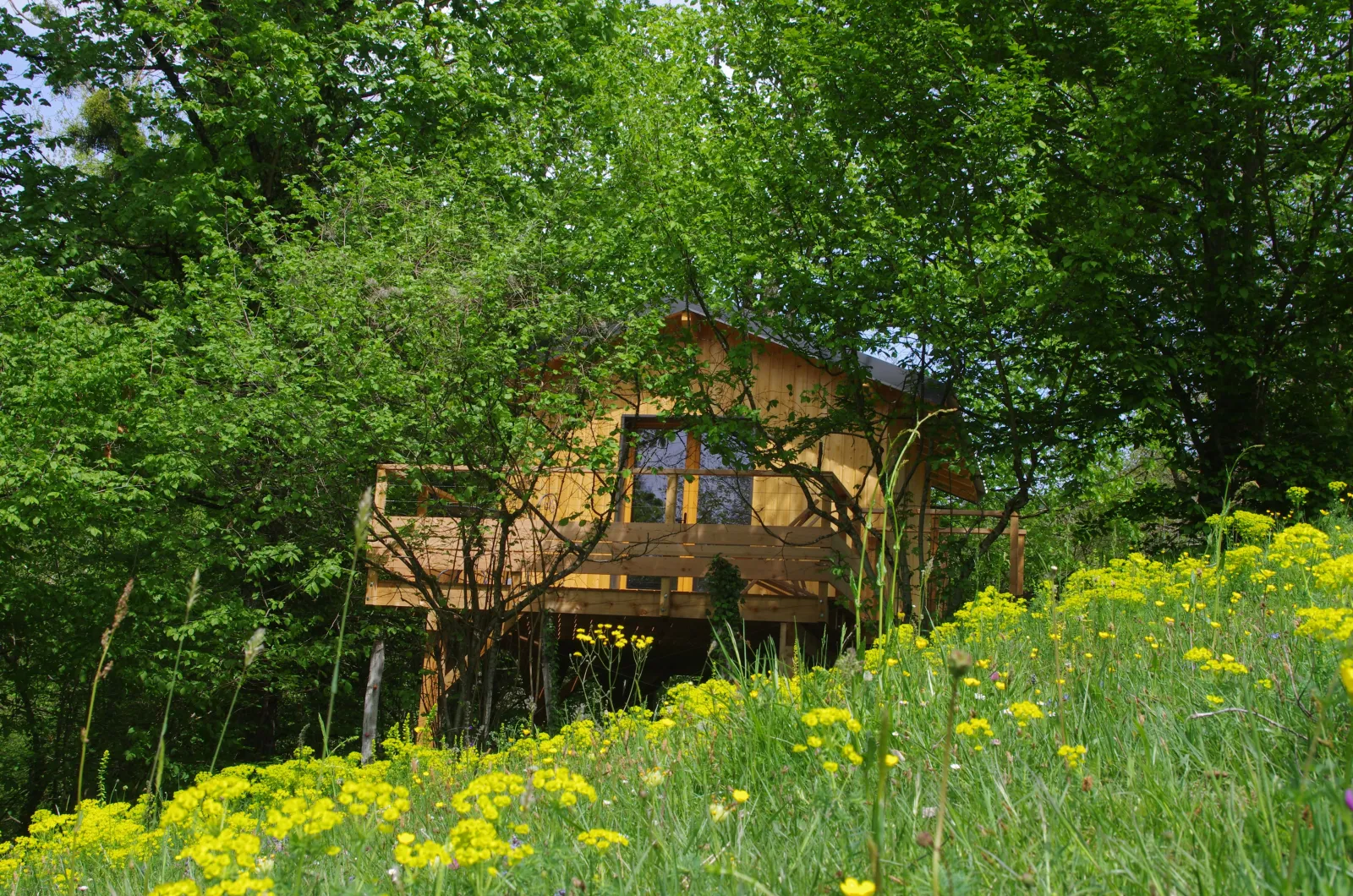 La Cabane aux Rêves à Sainte-Marie-d'Alvey, photo 3