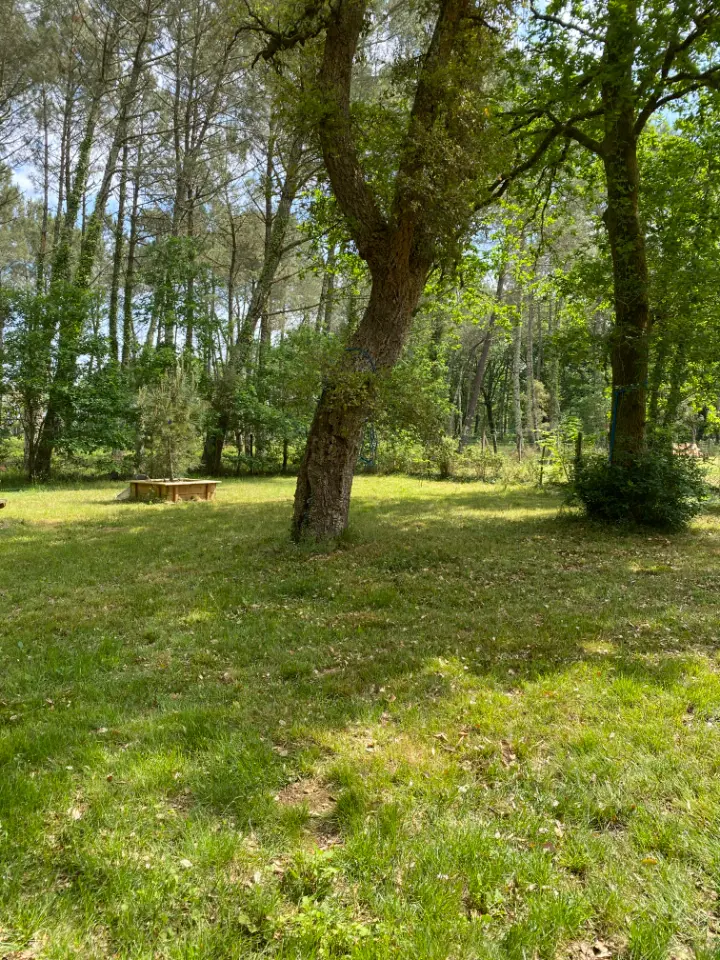 La Cabane d'Azur à Azur, photo 4