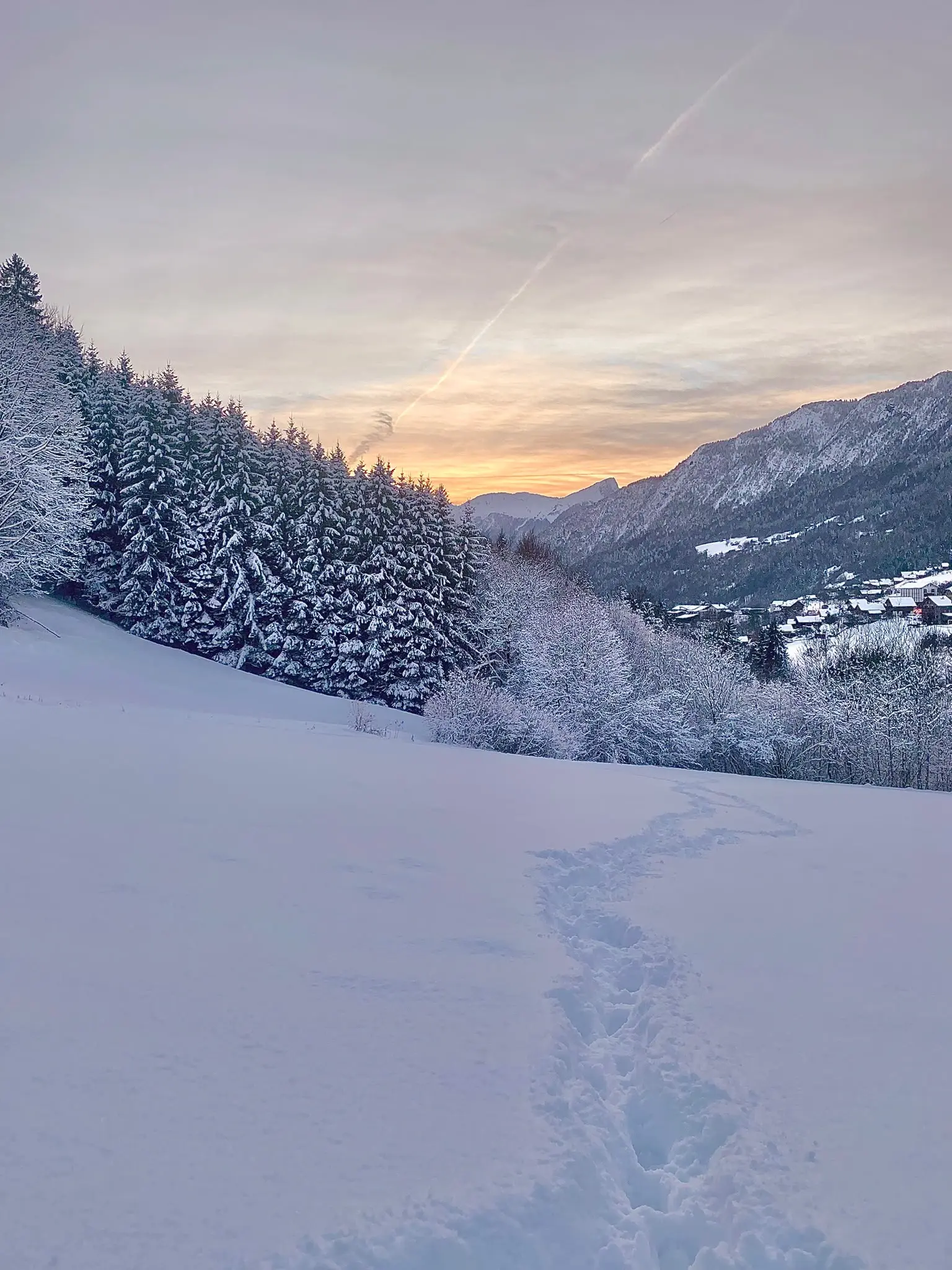 La Cabane d'Ernestine, cabane au sol à Les Villards-sur-Thônes