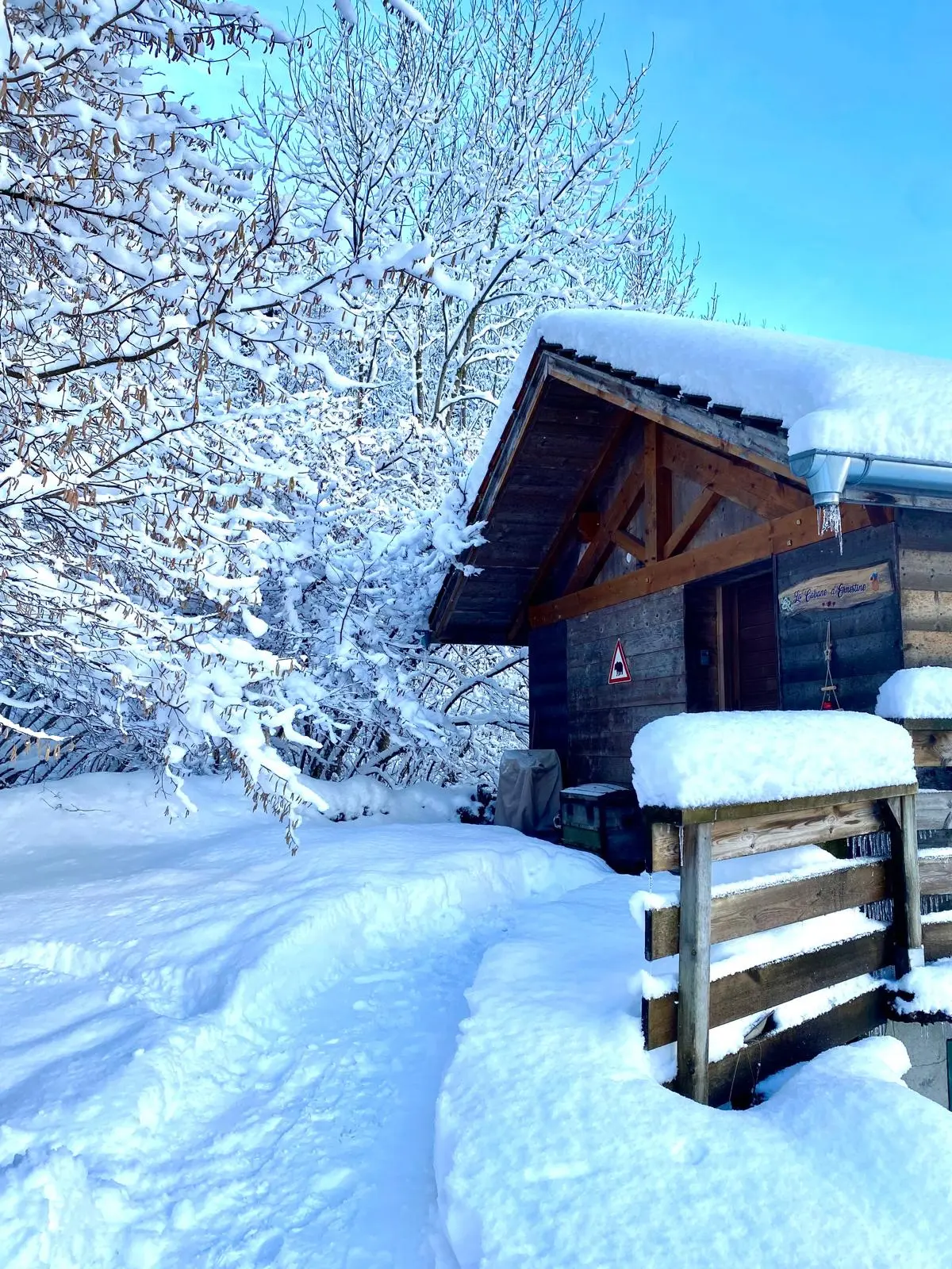 La Cabane d'Ernestine à Les Villards-sur-Thônes, photo 5