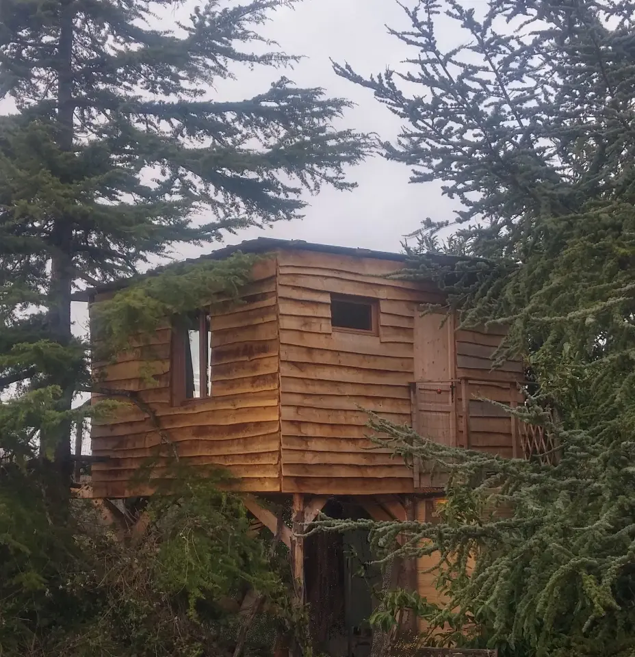 La Cabane dans les arbres à Avon-les-Roches, photo 4