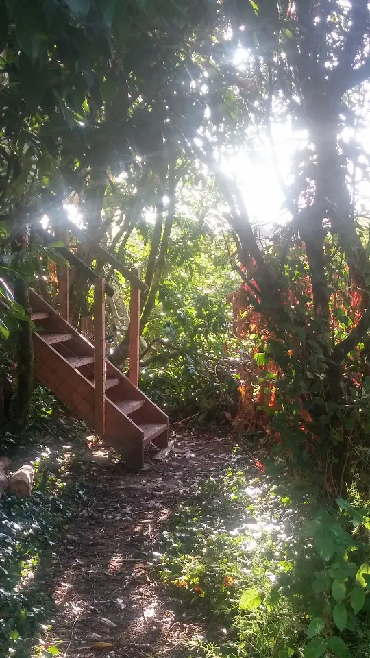 La Cabane dans les arbres à Avon-les-Roches, photo 5