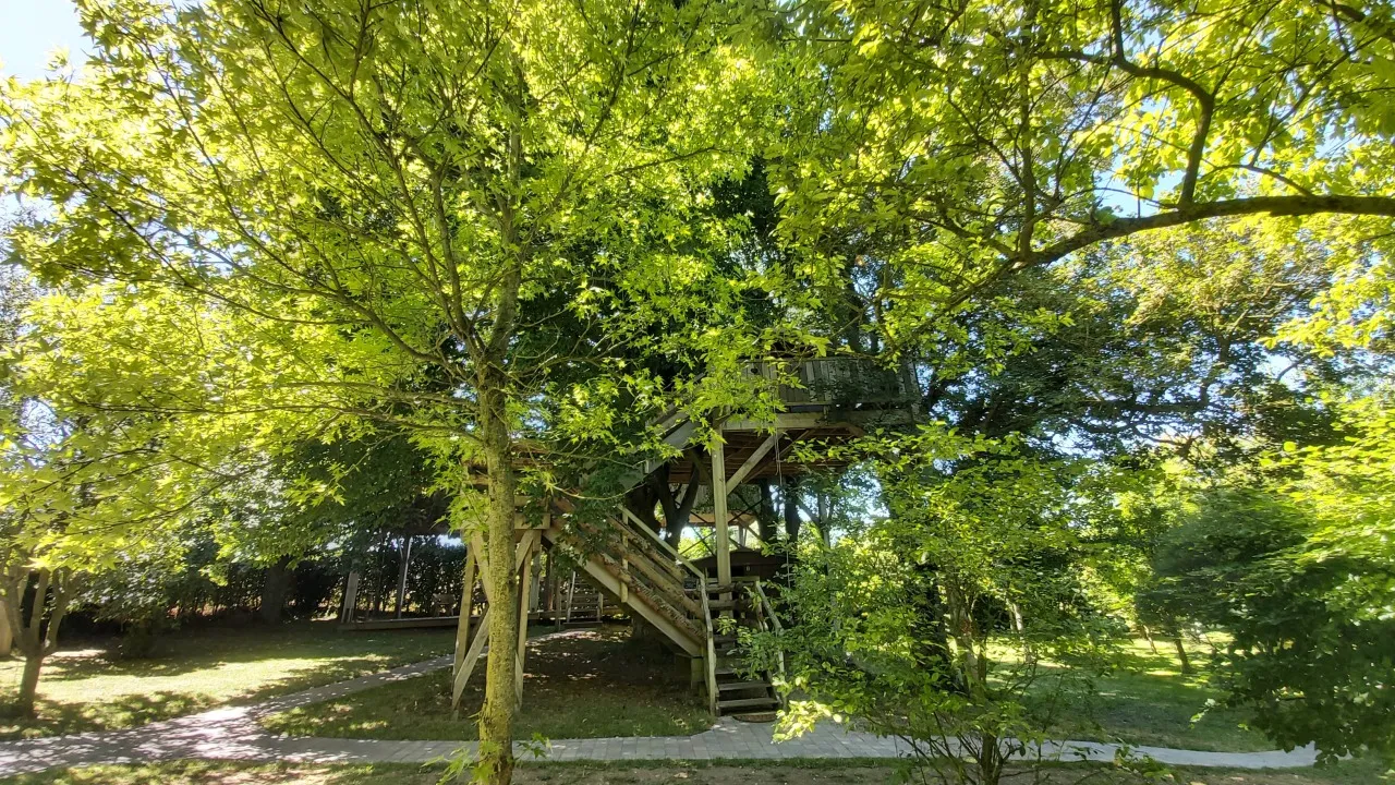 La Cabane dans les Arbres à Essuiles, photo 2