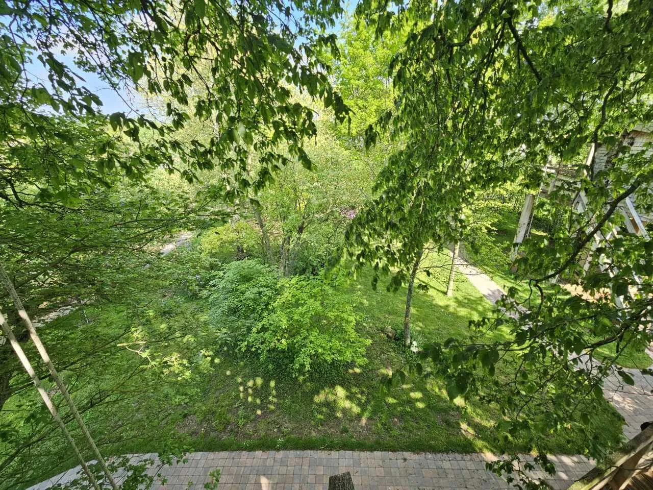 La Cabane dans les Arbres à Essuiles, photo 4