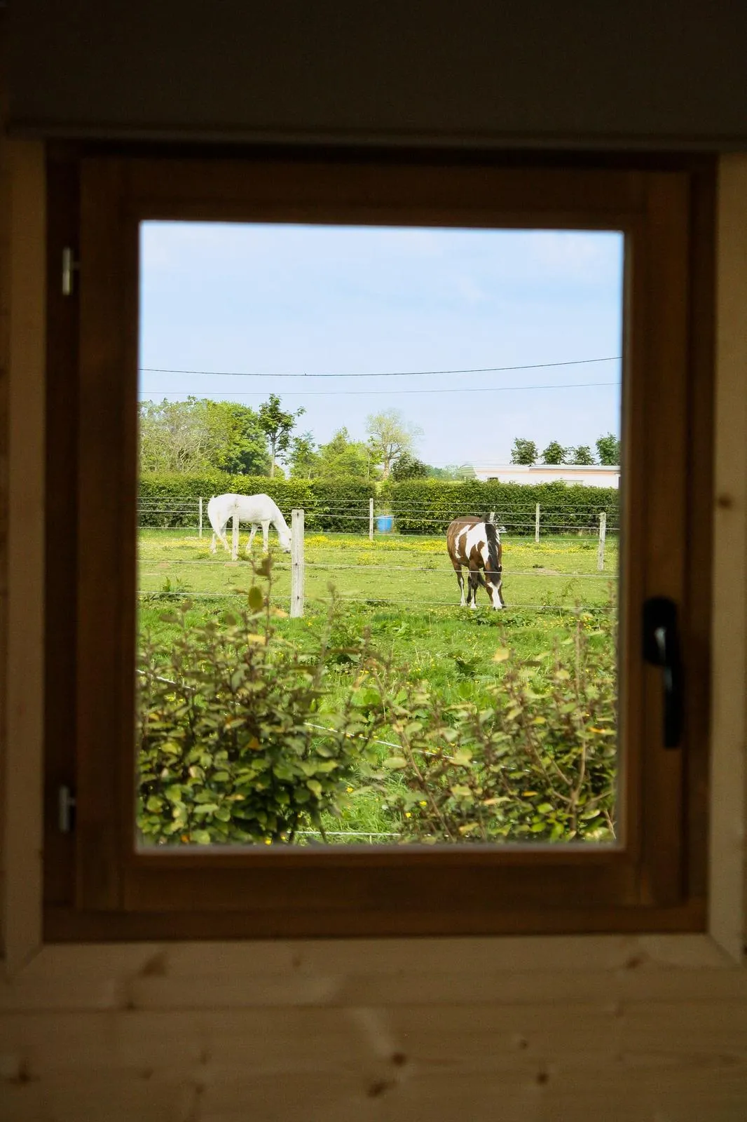 La Cabane de Chaume à Annouville-Vilmesnil, photo 5