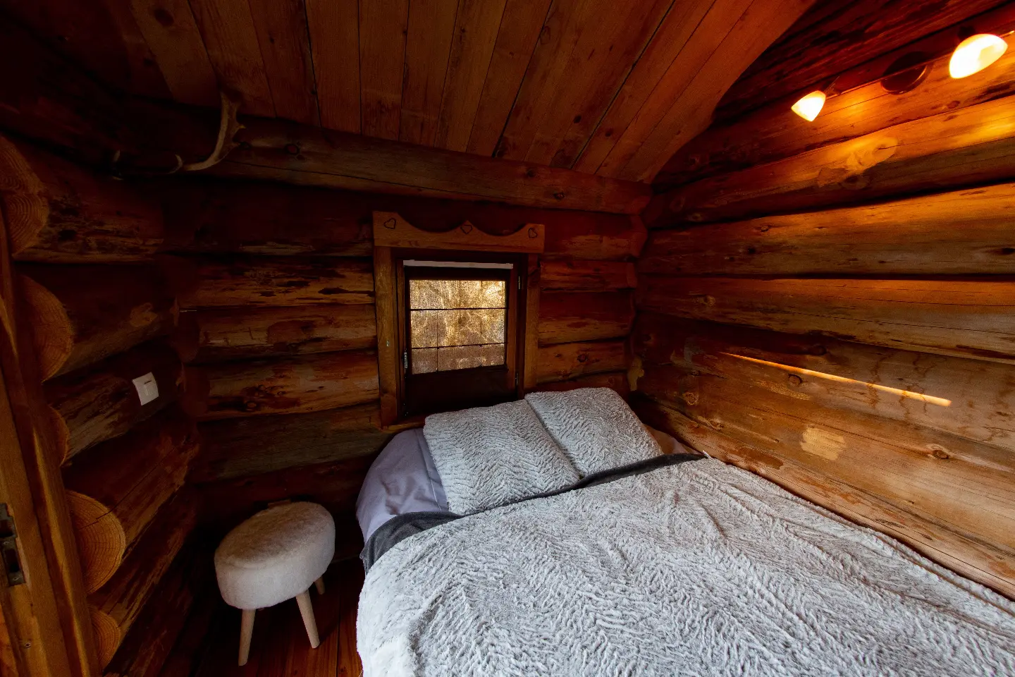 La Cabane des Colibris à Rieupeyroux, photo 4