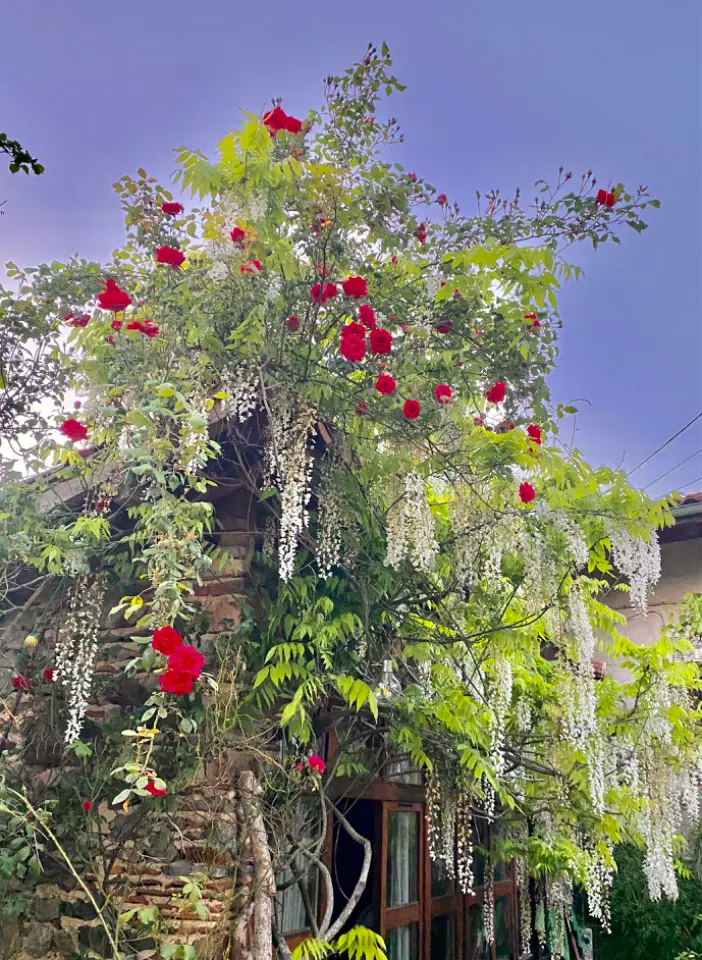 La cabane des deux muses à Bussières, photo 5