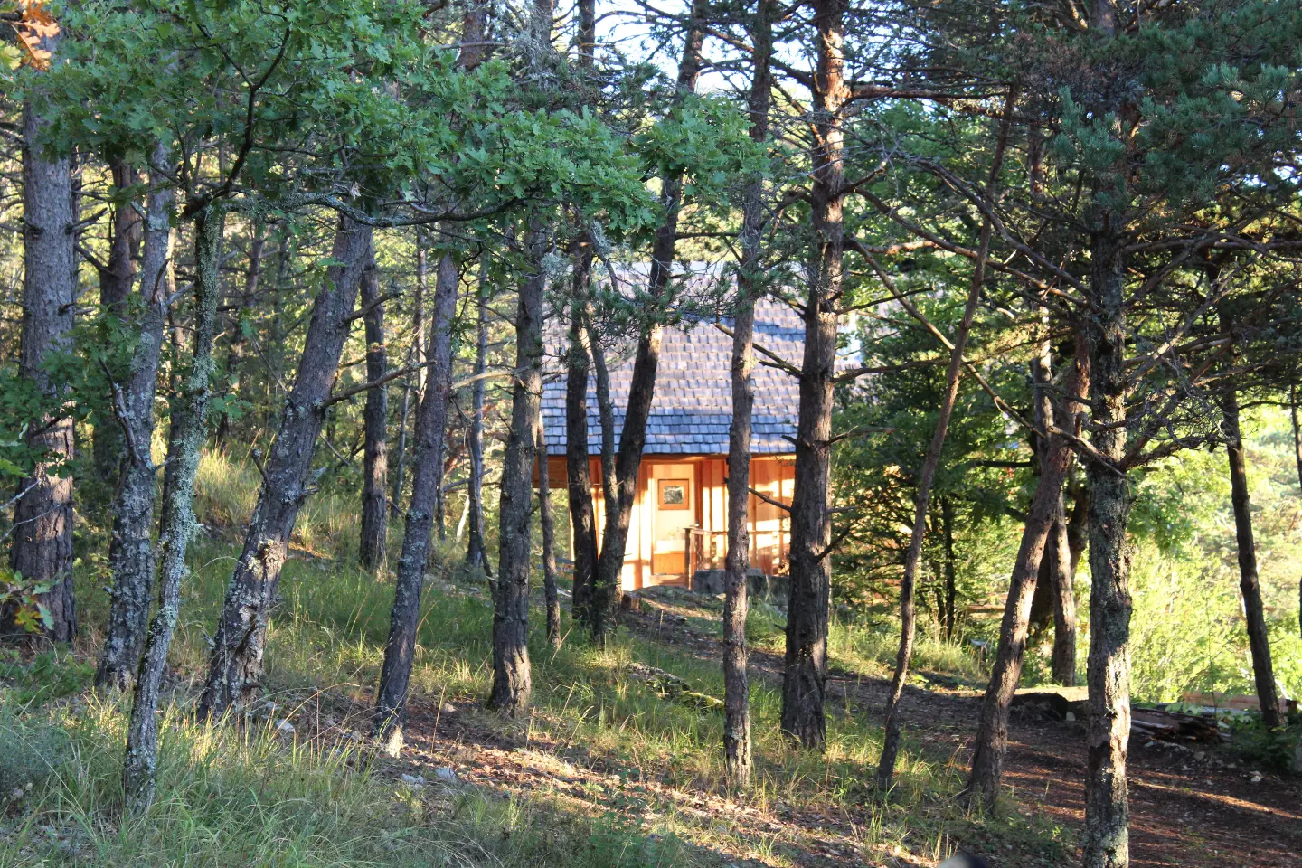 La Cabane du Bois à Saint-Nazaire-le-Désert, photo 3