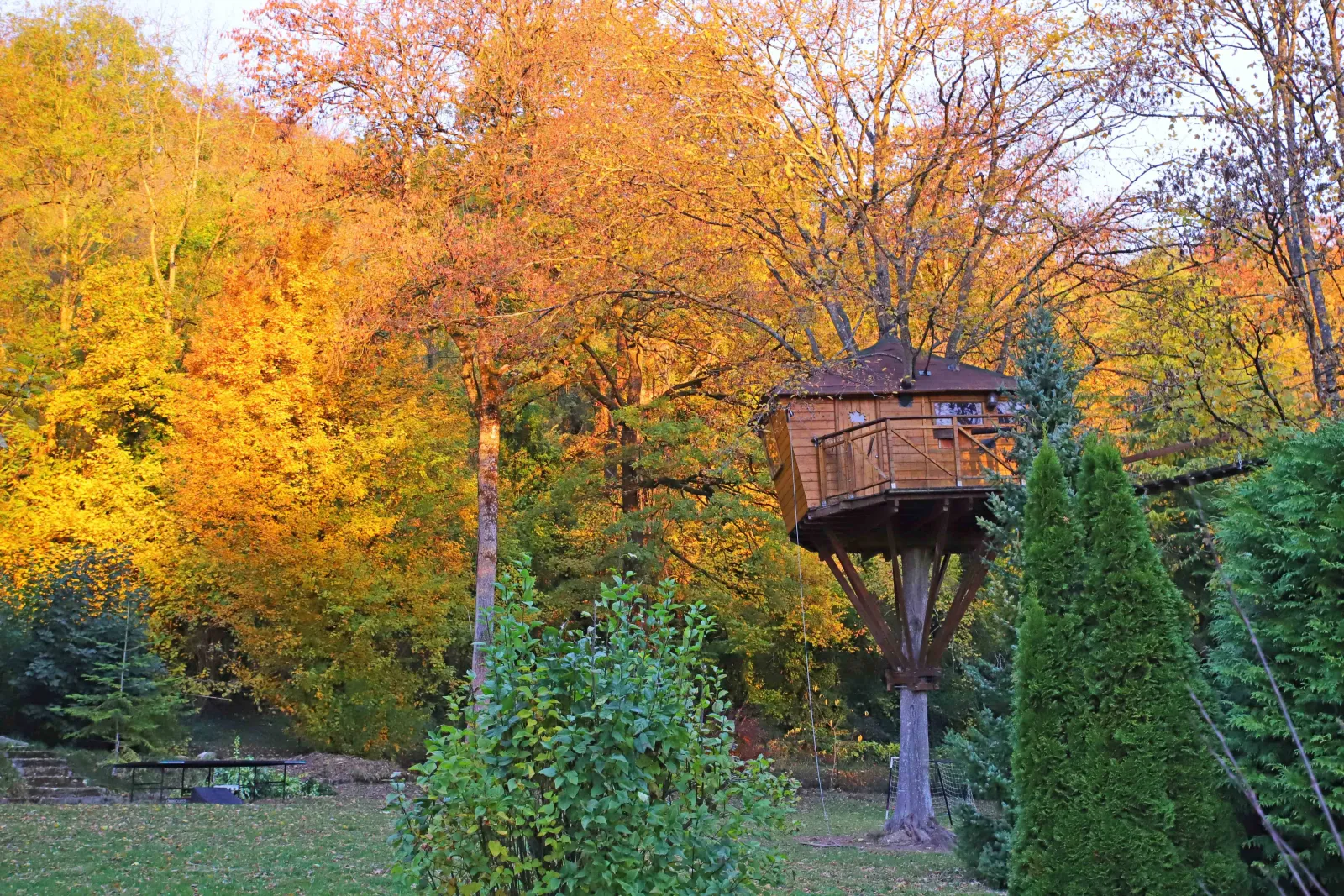 La Cabane du Charme, cabane dans les arbres à Chamigny