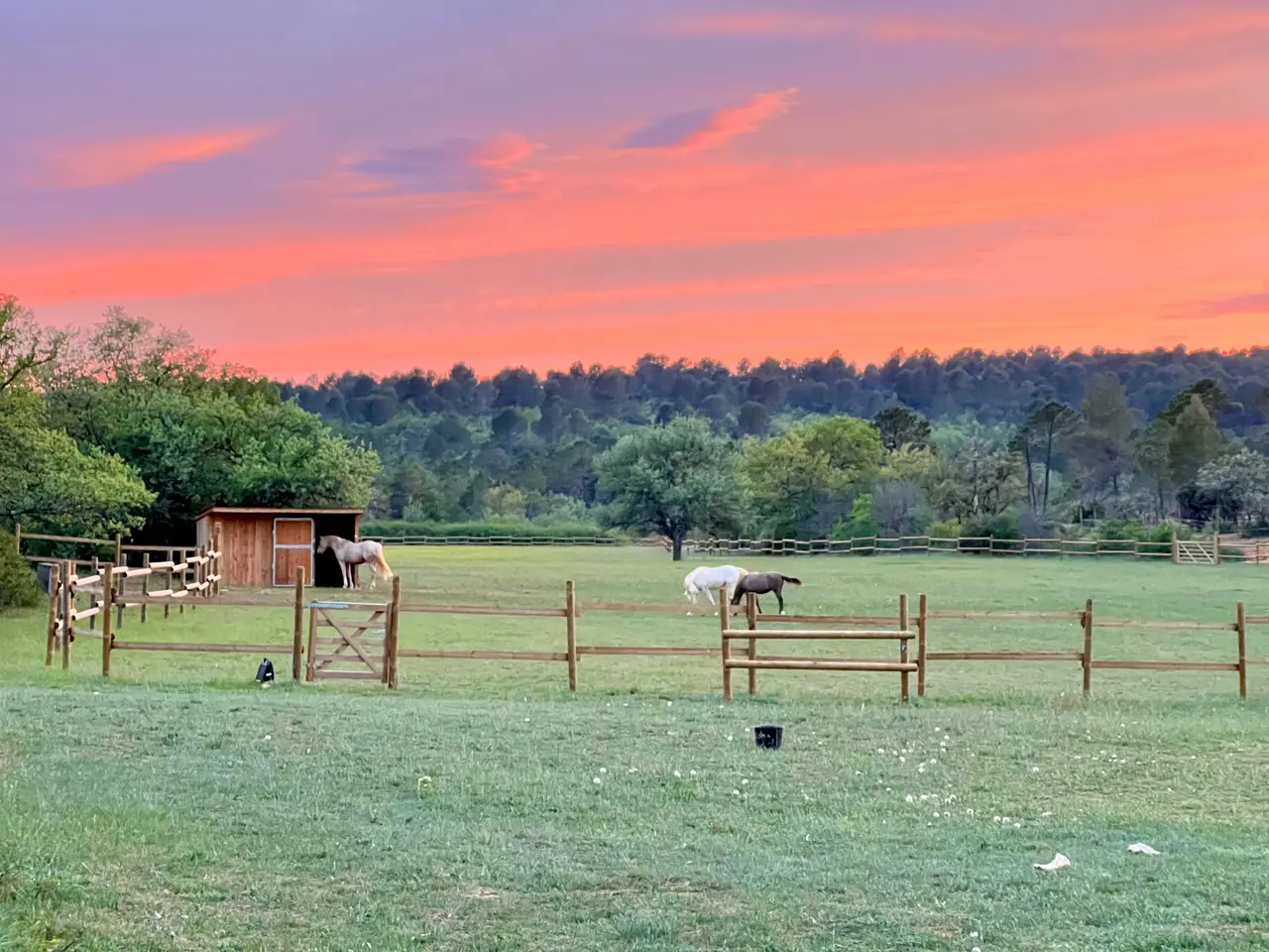 La Cabane du ranch, cabane au sol à Aups