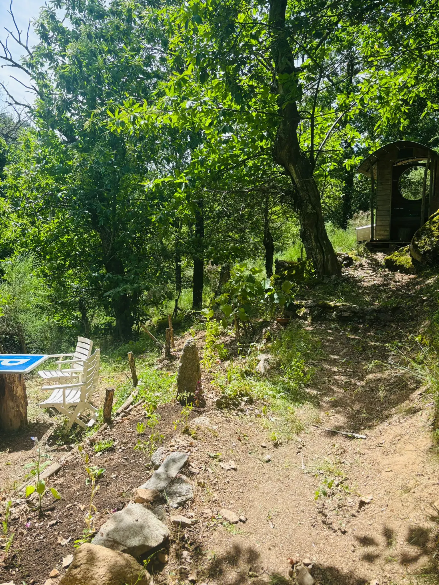 La Chouette Cabane à Ispagnac, photo 3