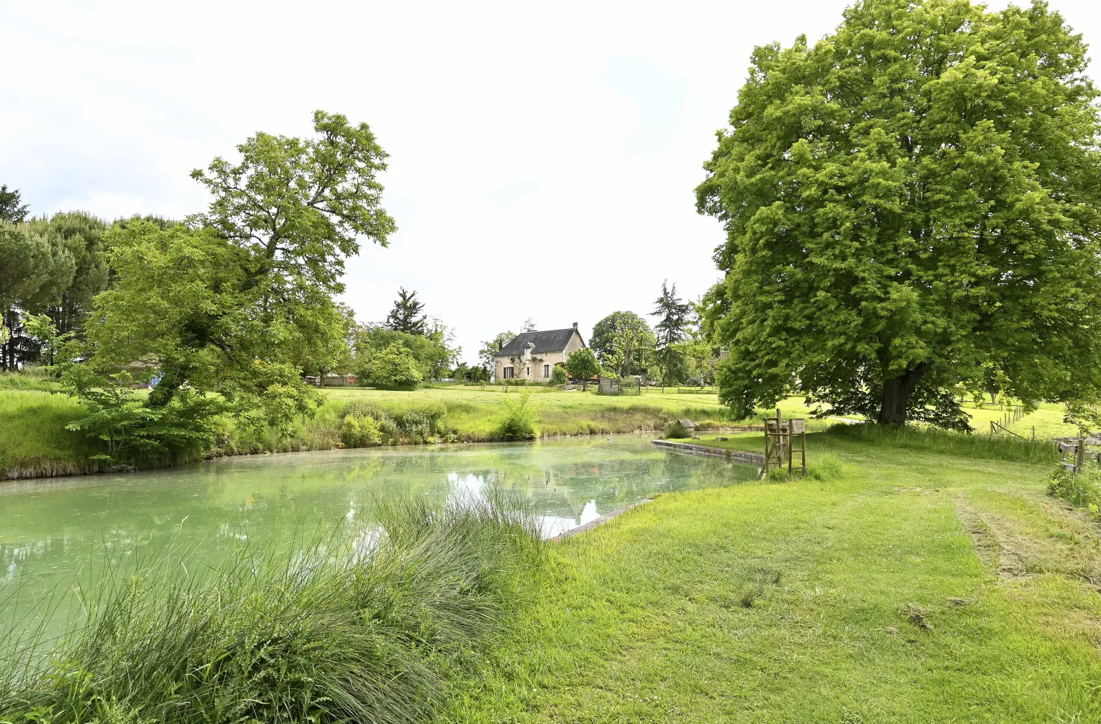 La Gadouillère à Descartes, photo 5