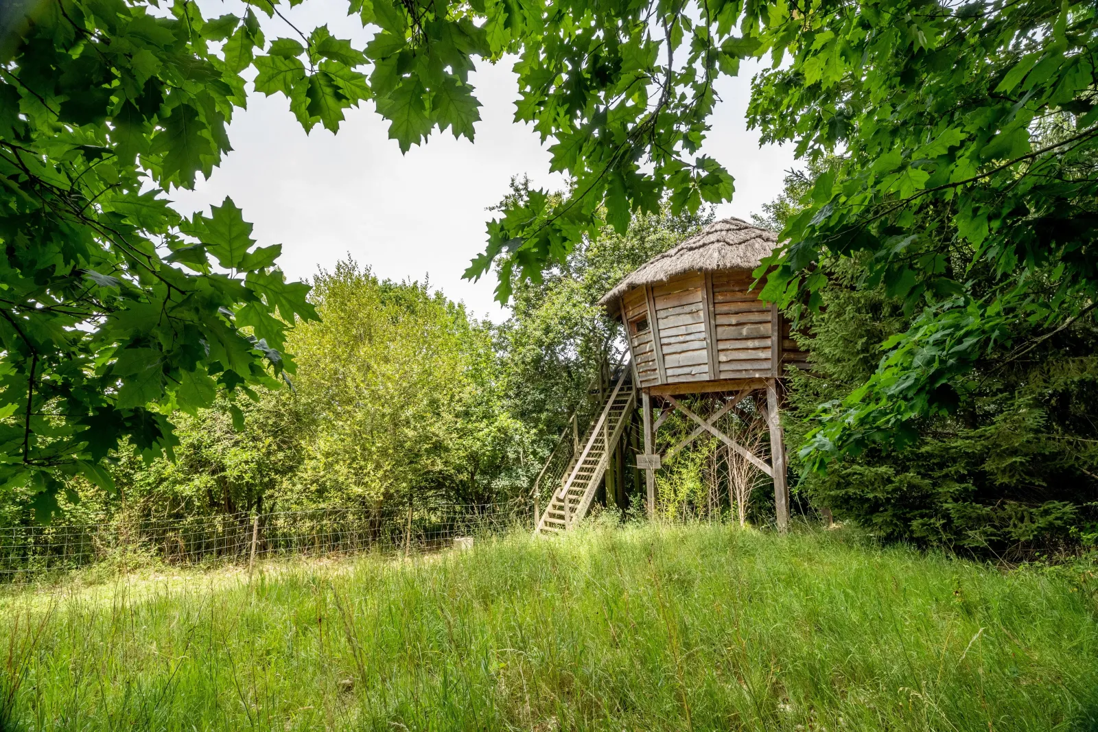 La Palombière à Saint-Griède, photo 3