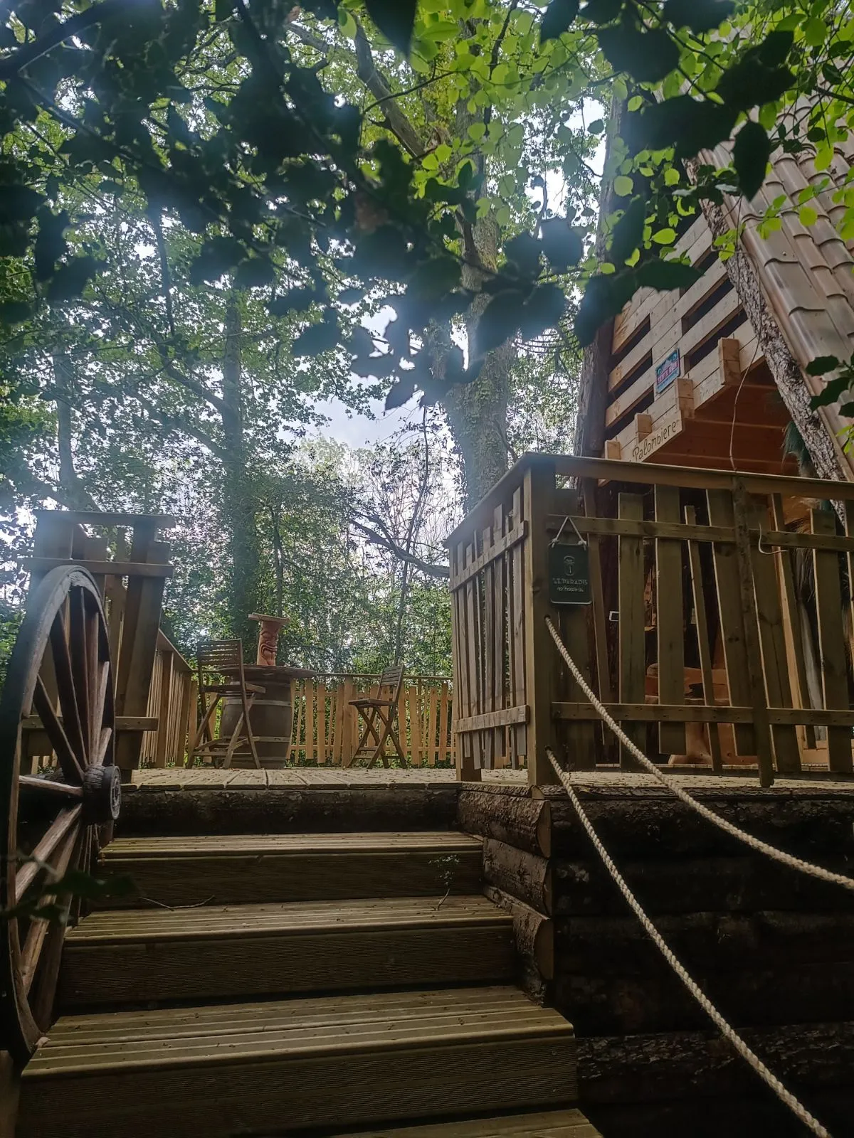 La Palombière à Saint-Armou, photo 3