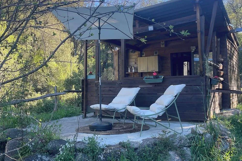 La Petite Cabane Corse à Olivese, photo 5