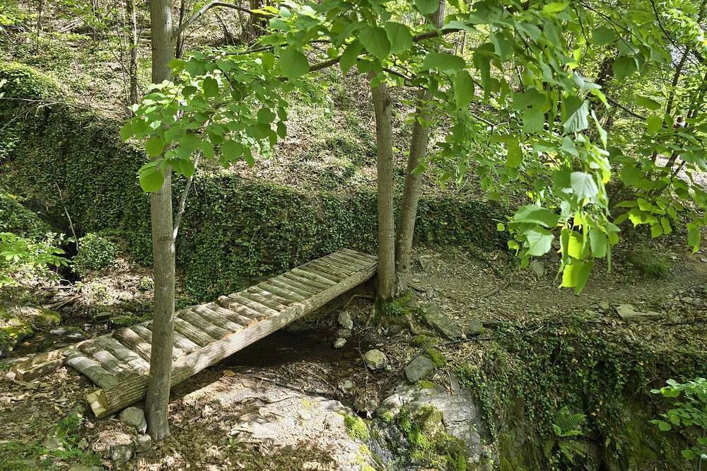 La Petite Cabane des Masades à Malons-et-Elze, photo 4