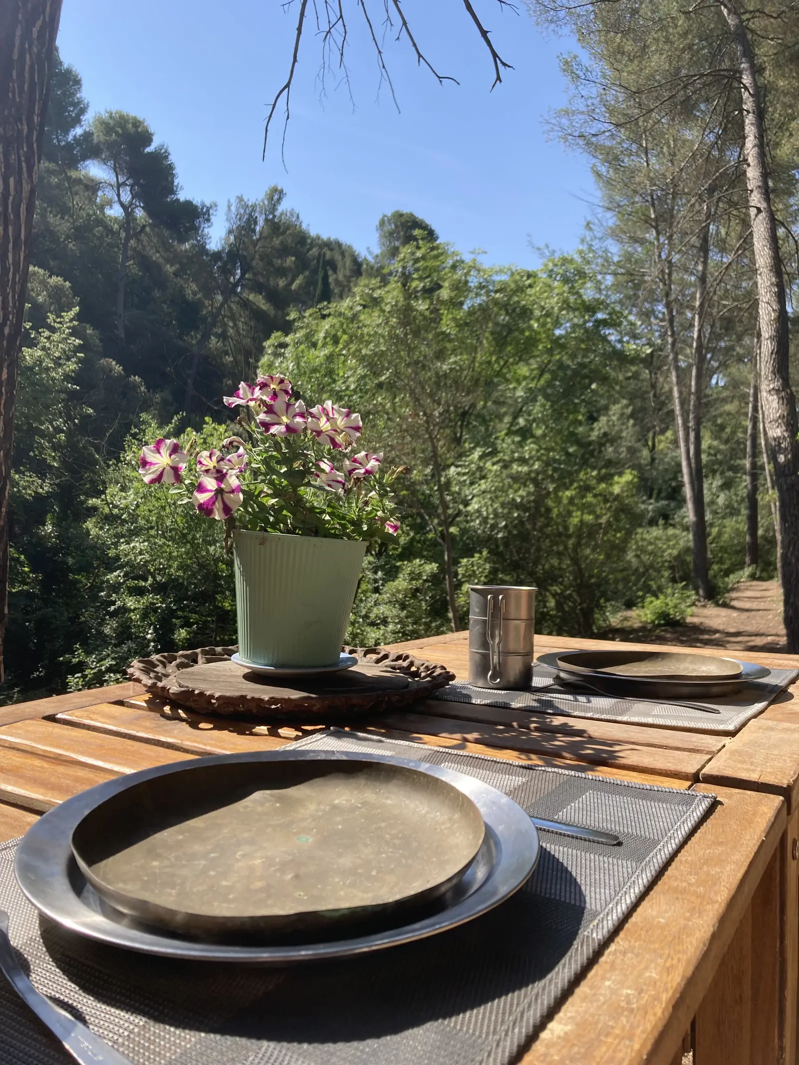 Le Cabanon d'Aix à Aix-en-Provence, photo 5