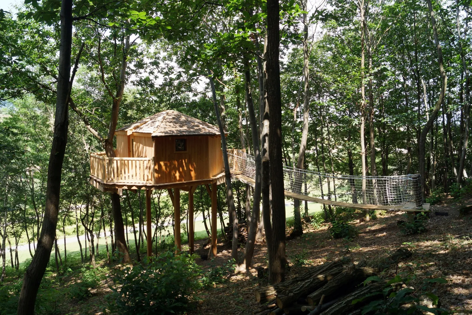 Le Nid d'amour, cabane dans les arbres à Quincié-en-Beaujolais