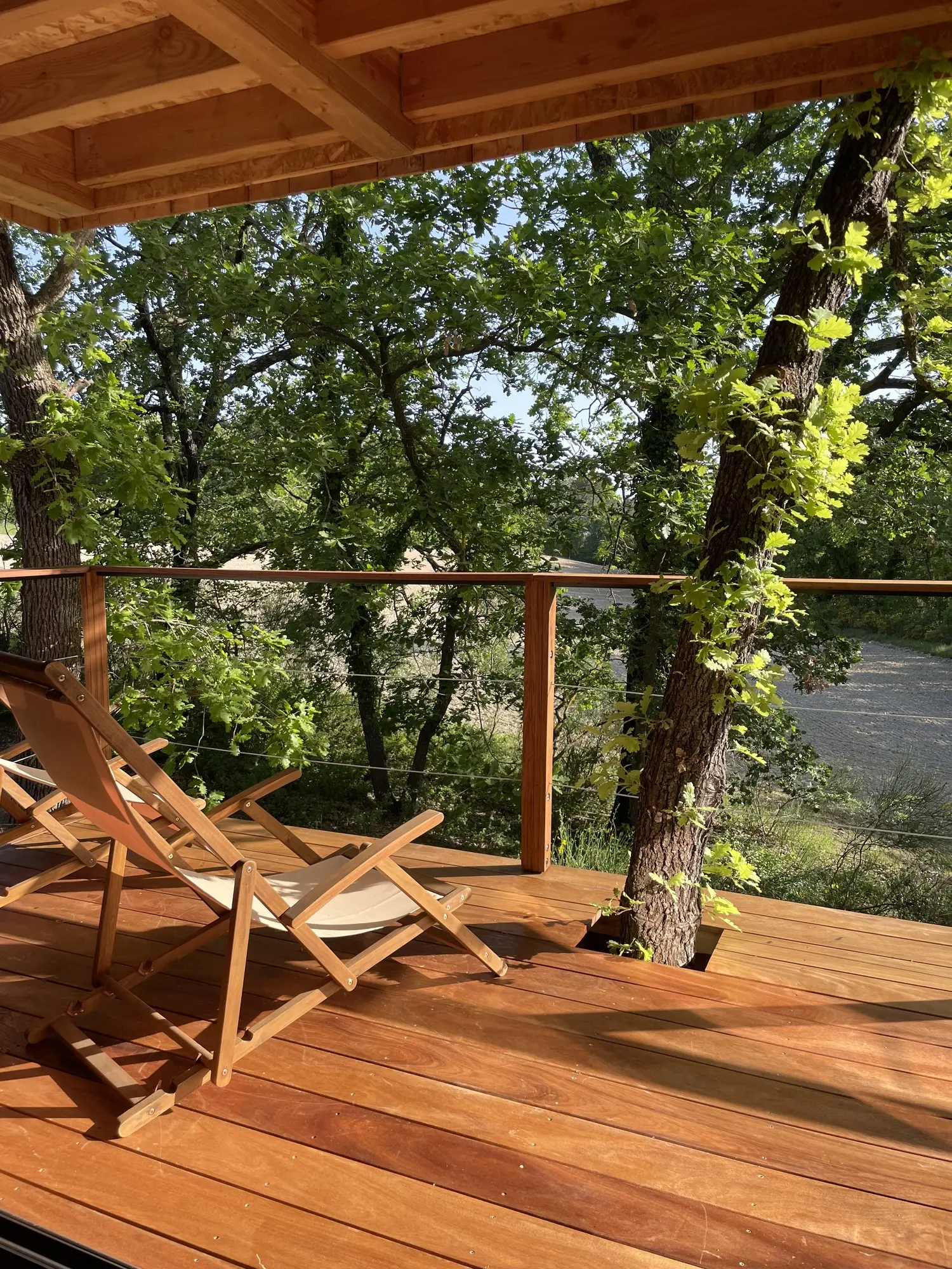Le Nid en Provence à Le Puy-Sainte-Réparade, photo 3