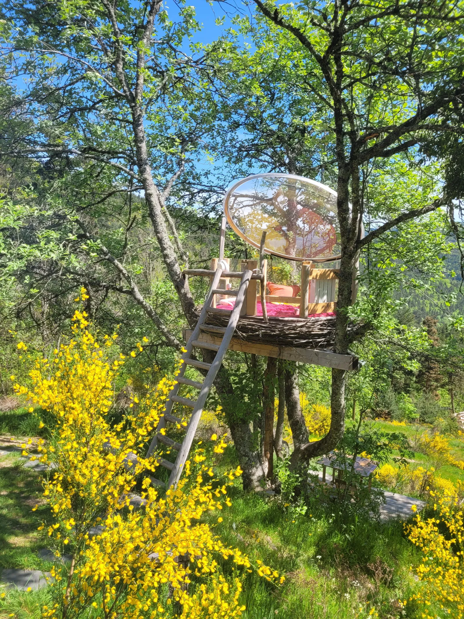 Le Nid, cabane dans les arbres à Rochepaule