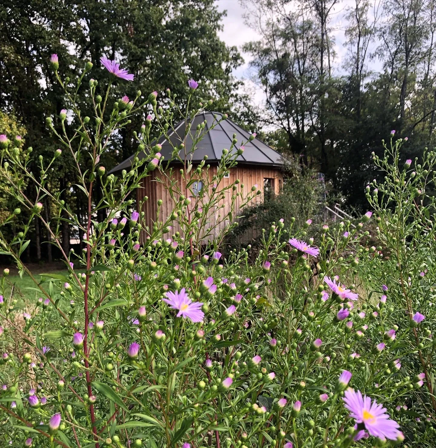 Le P'tiot Utau, cabane sur pilotis à Chapelle-Voland