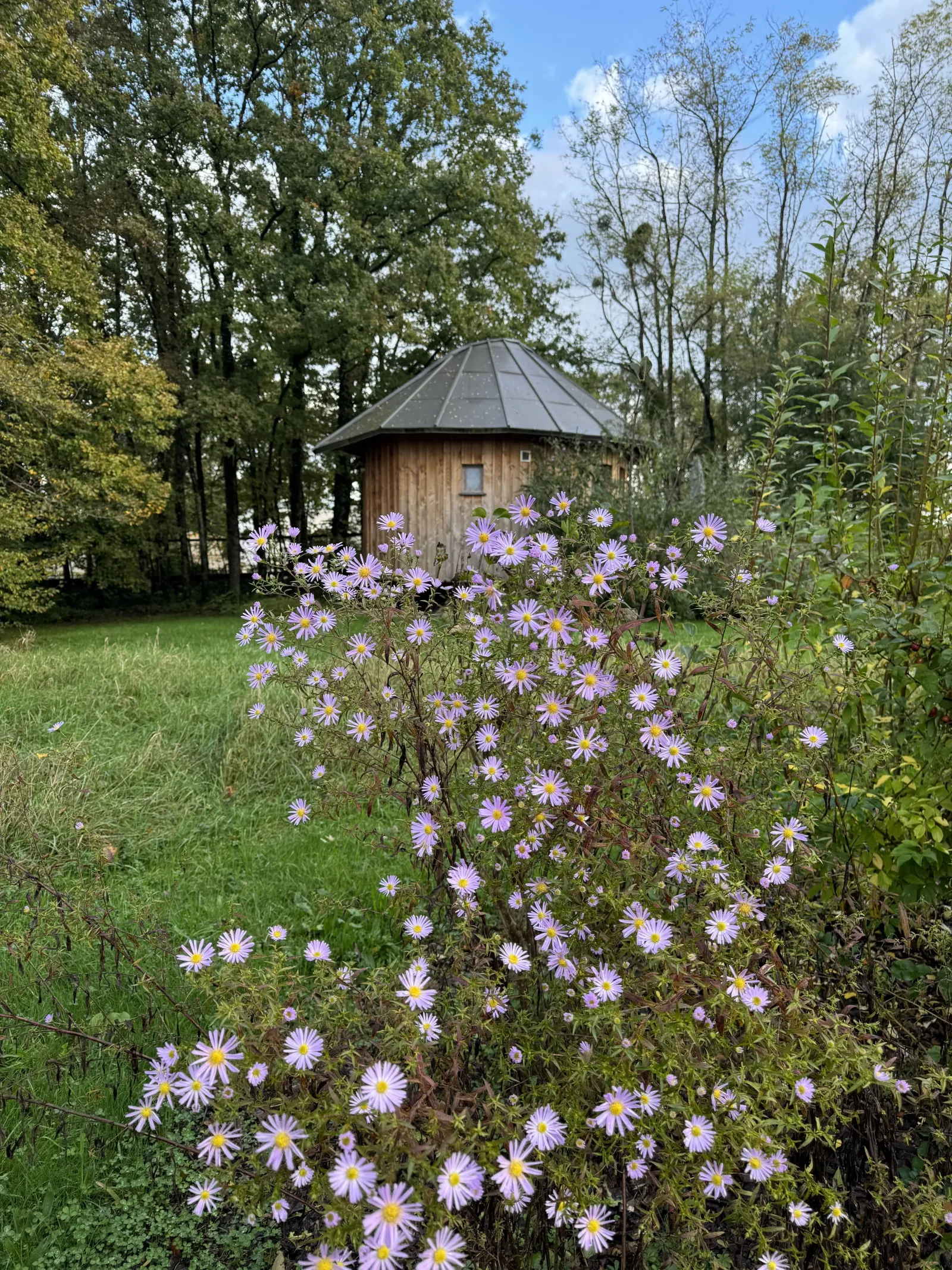 Le P'tiot Utau à Chapelle-Voland, photo 4