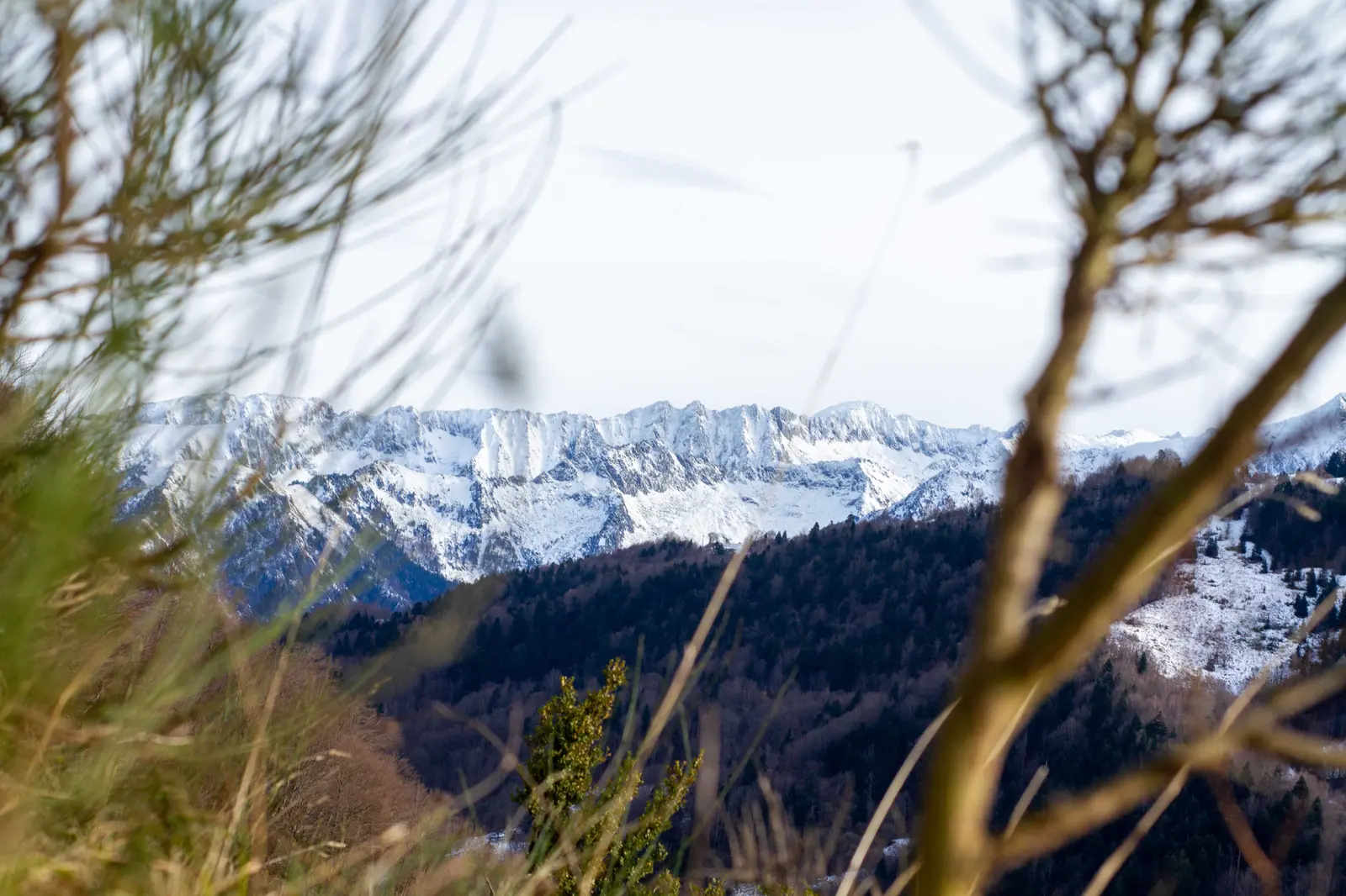 Les cabanes d'Agéou à Ustou, photo 4