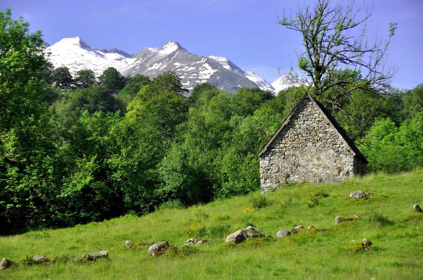 Les cabanes d'Agéou à Ustou, photo 5