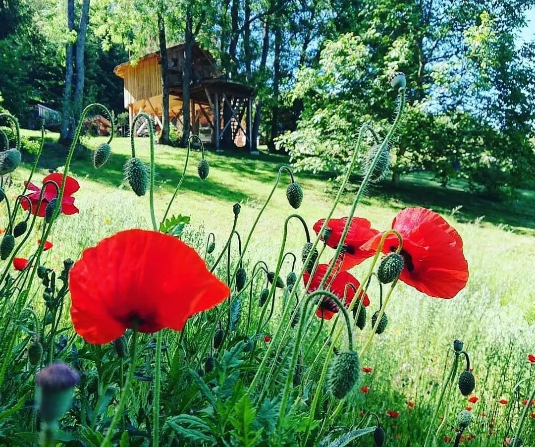 Les Cabanes du Salève à Collonges-sous-Salève, photo 5